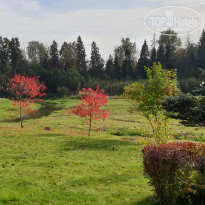 фото из отзыва ID 2148171