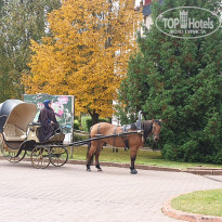 фото из отзыва ID 2148171