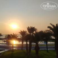 фото из отзыва ID 2148230