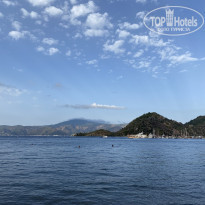 фото из отзыва ID 2148320