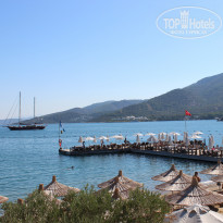 фото из отзыва ID 2148344