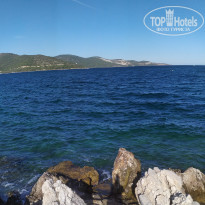 фото из отзыва ID 2148375