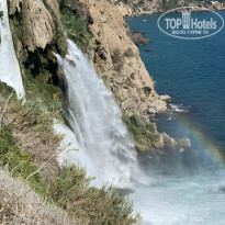 фото из отзыва ID 2148431