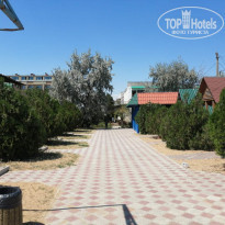 фото из отзыва ID 2148505