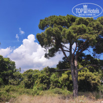 фото из отзыва ID 2148543