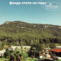 фото из отзыва ID 2148570