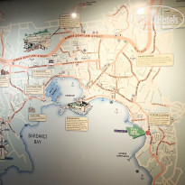 фото из отзыва ID 2148454