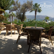 фото из отзыва ID 2148642