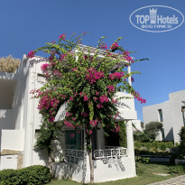 фото из отзыва ID 2148819