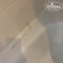 фото из отзыва ID 2148847