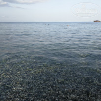 фото из отзыва ID 2148854