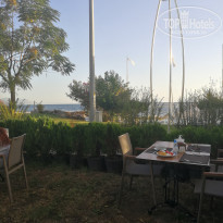 фото из отзыва ID 2148854