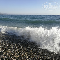 фото из отзыва ID 2148854