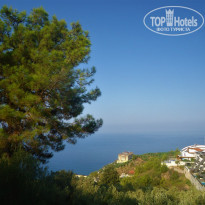 фото из отзыва ID 2148792