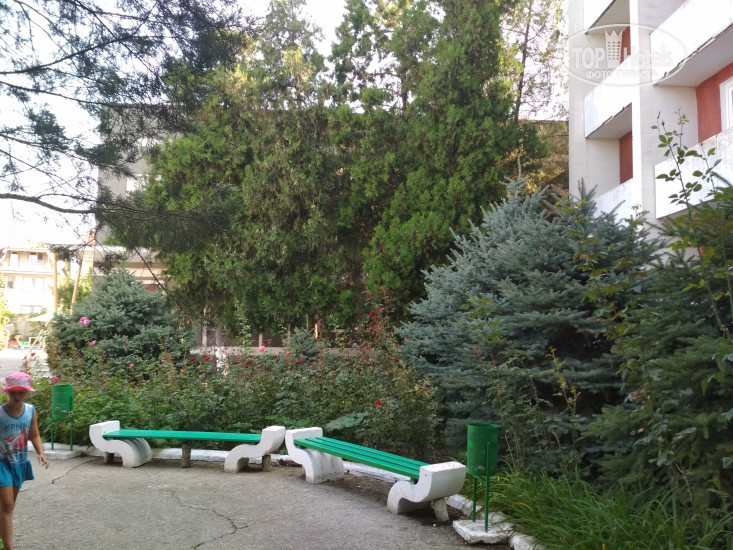 Золотой берег