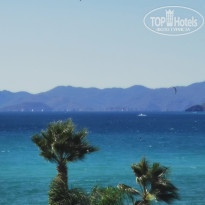 фото из отзыва ID 2148845