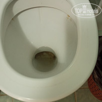 фото из отзыва ID 2149069