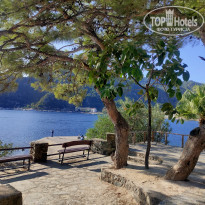 фото из отзыва ID 2148980