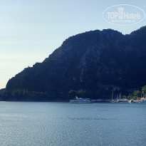 фото из отзыва ID 2148980