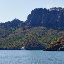 фото из отзыва ID 2148980