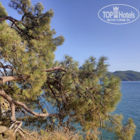 фото из отзыва ID 2148980