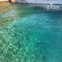 фото из отзыва ID 2148980