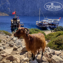 фото из отзыва ID 2148980