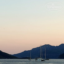 фото из отзыва ID 2148980