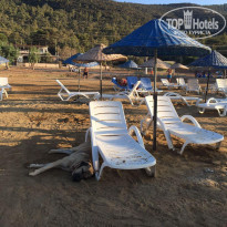 фото из отзыва ID 2147823