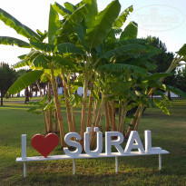 фото из отзыва ID 2149099