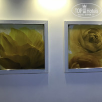 фото из отзыва ID 2149130
