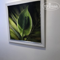фото из отзыва ID 2149130