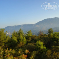 фото из отзыва ID 2148792