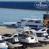 фото из отзыва ID 2149138