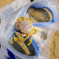 фото из отзыва ID 2149452