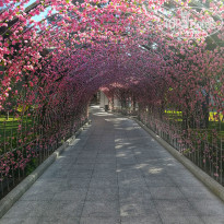 фото из отзыва ID 2148438