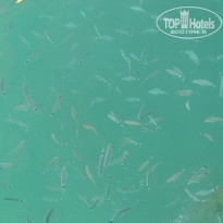 фото из отзыва ID 2149556