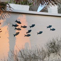 фото из отзыва ID 2149556