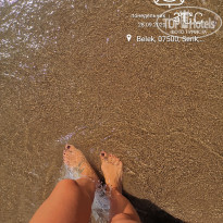 фото из отзыва ID 2149556