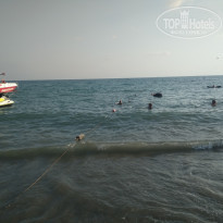 фото из отзыва ID 2149612