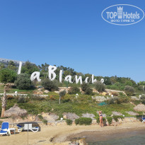 фото из отзыва ID 2149425