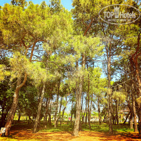 фото из отзыва ID 2149637