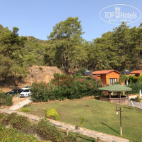 фото из отзыва ID 2149752