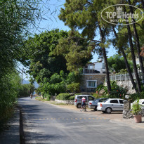 фото из отзыва ID 2149893