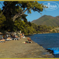 фото из отзыва ID 2149893