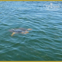 фото из отзыва ID 2149893