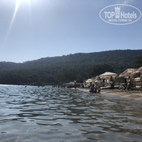 фото из отзыва ID 2149897