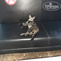 фото из отзыва ID 2149906