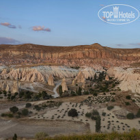 фото из отзыва ID 2145725