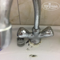 фото из отзыва ID 2147858